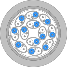 Bild von AES12P2022FRNC-C | AES/EBU 12 Paar 2x0.22qmm FRNC-C - 110 Ohm